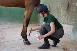 Formación profesional