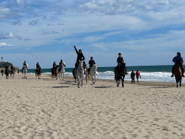 Técnico Deportivo en Hípica